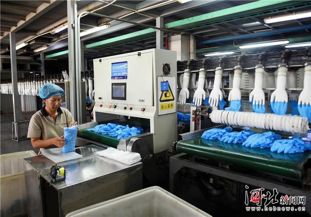 产学研一体化为翼，丁腈手套海外市场热销调查