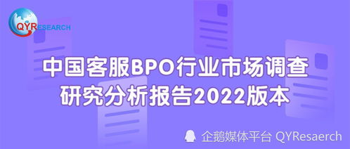 2022年中国客服BPO行业市场调查研究分析报告（简版）